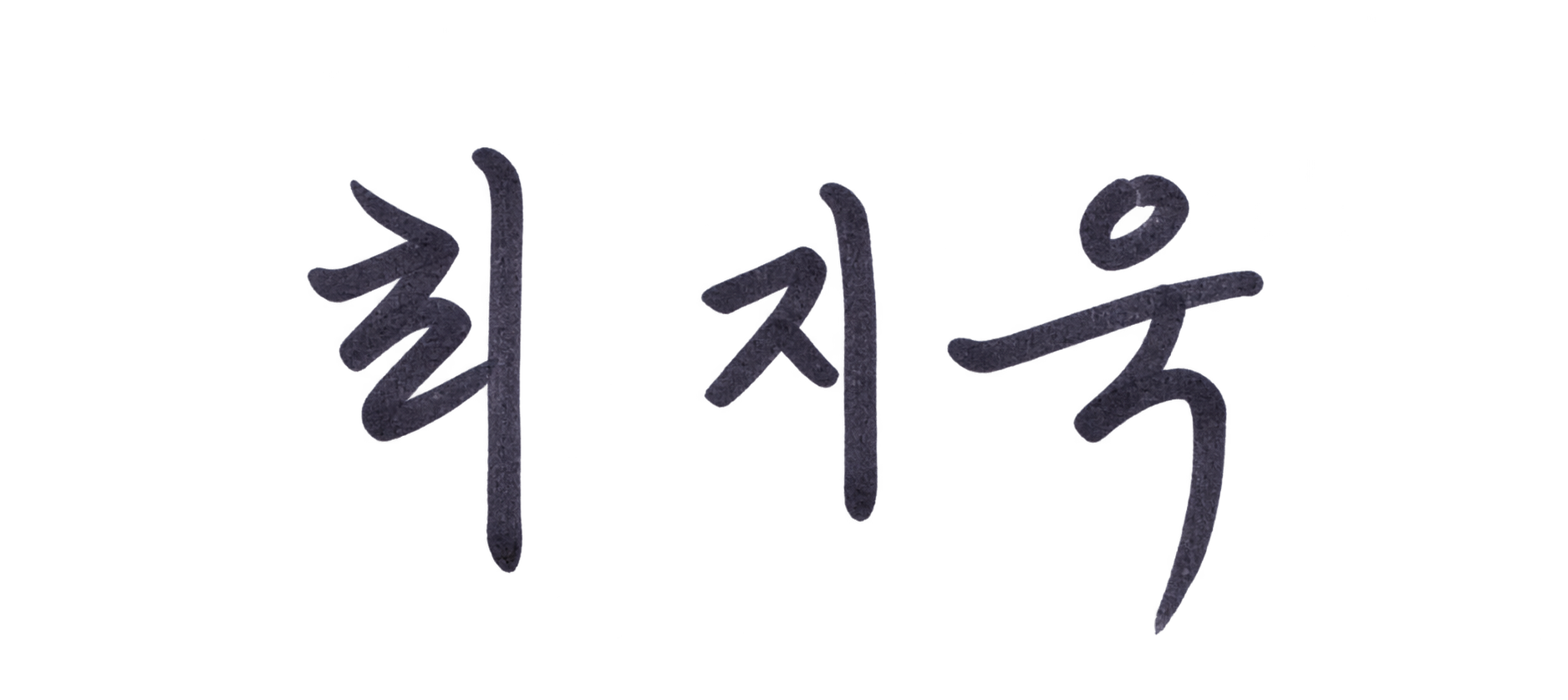 최지욱 원장 친필 서명